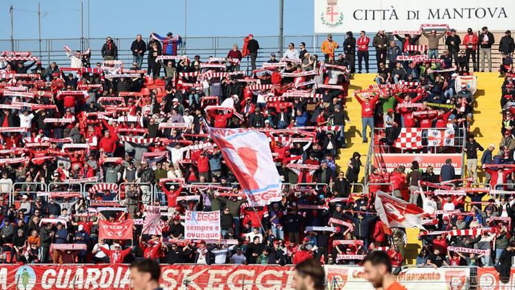 Sciarpa alia per le tifosi del calcio e feste aliane | Costumalia Sciarpa alia per le tifosi del calcio e feste aliane | Costumalia