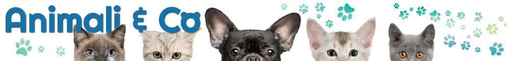 Animali & Co